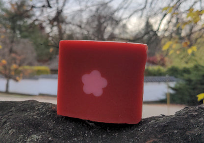 Tofu Koji's Spirit Forest